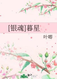 [银魂]暮星
