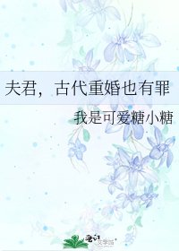 《夫君,古代重婚也有罪》