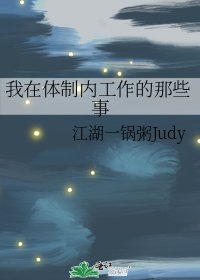 《我在体制内工作的那些事》