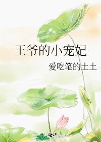 《王爷的小宠妃》