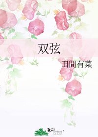 《双弦》