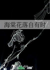 《海棠花落自有时》