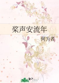 《桨声安流年》