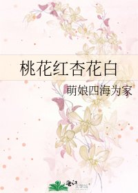 《桃花红杏花白》