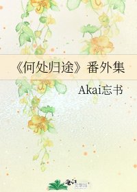 《何处归途》