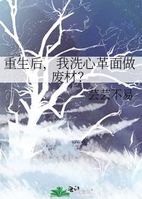 《重生后,我洗心革面做废材?》