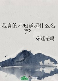 《我真的不知道起什么名字?》