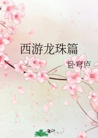 《西游龙珠篇》