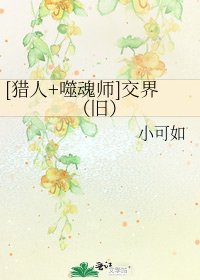 [猎人+噬魂师]交界（旧）