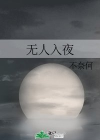 《无人入夜》