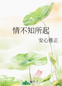 《情不知所起》