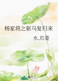 杨家将之驱马复归来