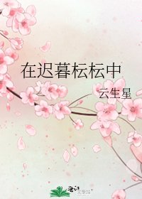 《在迟暮枟枟中》