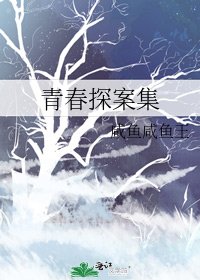 《青春探案集》