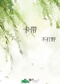 《卡带》