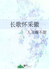 《长歌怀采徽》
