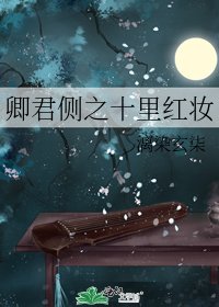《卿君侧之十里红妆》