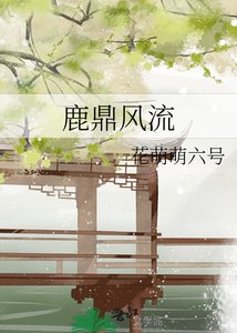 《鹿鼎风流》
