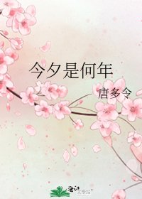 《今夕是何年》