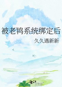 《被老鸨系统绑定后》
