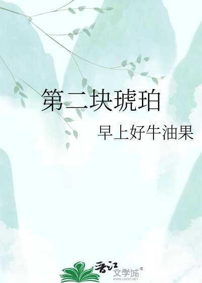第二块琥珀