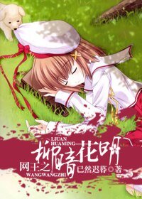 《网王之柳暗花明》