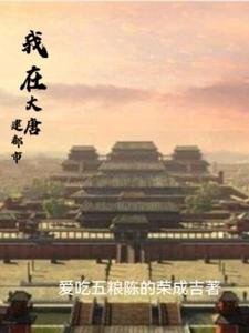 《我在大唐建都市》