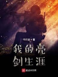 《我的亮剑生涯》
