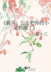 《驸马,公主把你的小妾拐跑了》