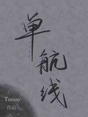 《单航线》