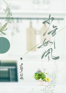 《少年如风》