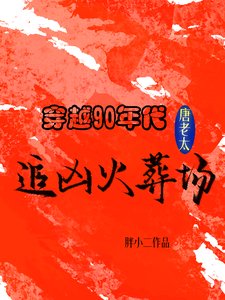 穿越90年代：唐老太追凶火葬场