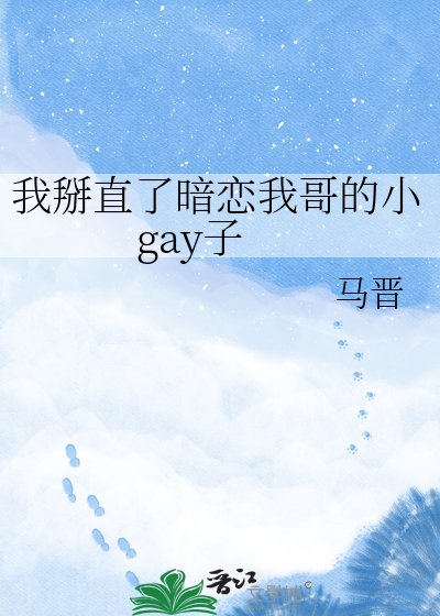 《我掰直了暗恋我哥的小gay子》