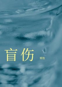 《盲伤/去他个狗屁良心》