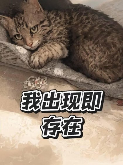 《我出现即存在》