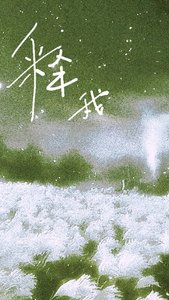 《释我》