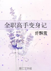 （BL/全职同人）全职高手变身记
