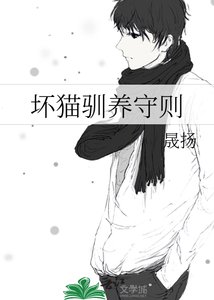 《坏猫驯养守则》