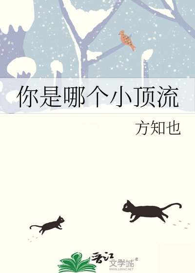 你是哪个小顶流