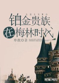 《(BL/HP同人)铂金贵族在梅林时代》
