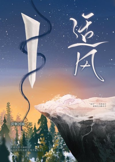适风