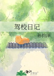 《驾校日记》