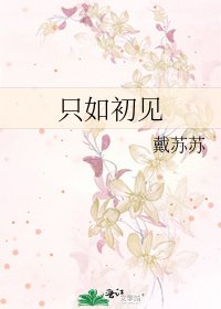 《只如初见》