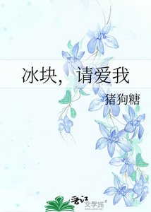 《冰块,请爱我》
