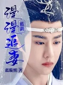 (陈情令同人)蓝湛:漫漫追妻