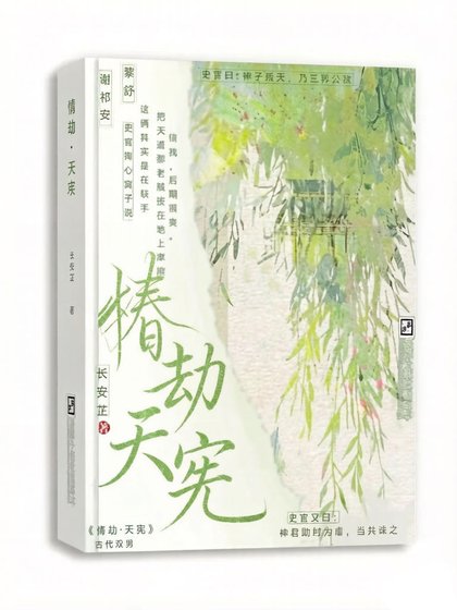 情劫·天宪