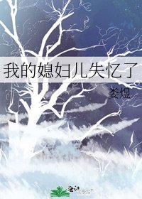 《我的媳妇儿失忆了》
