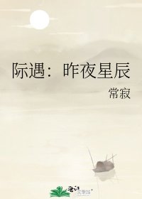 《际遇:昨夜星辰》