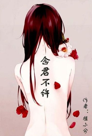 念君不许