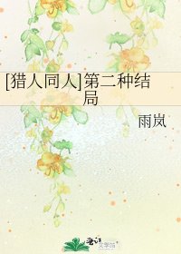 [猎人同人]第二种结局